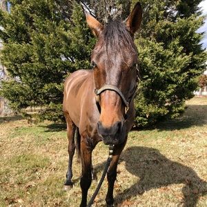 Meet your Posher, Ouida